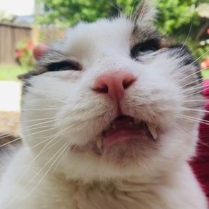 Meet your Posher, Marina